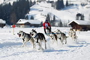 p-f.ch_120212_1212_9687_1D