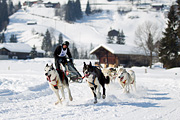 p-f.ch_120212_1214_9701_1D