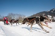 p-f.ch_120212_1249_0926_5D
