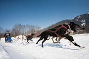 p-f.ch_120212_1253_0929_5D
