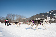 p-f.ch_120212_1254_0930_5D