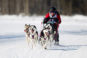 p-f.ch_120212_1254_9771_1D