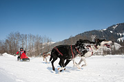 p-f.ch_120212_1255_0931_5D