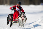p-f.ch_120212_1255_9793_1D