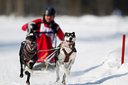 p-f.ch_120212_1255_9794_1D