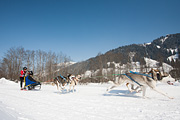 p-f.ch_120212_1256_0932_5D