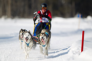 p-f.ch_120212_1256_9801_1D
