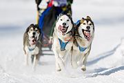 p-f.ch_120212_1256_9808_1D