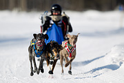 p-f.ch_120212_1257_9825_1D