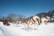 p-f.ch_120212_1300_0935_5D