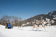p-f.ch_120212_1302_0937_5D