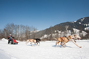 p-f.ch_120212_1302_0938_5D