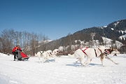p-f.ch_120212_1303_0939_5D