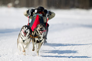 p-f.ch_120212_1303_9906_1D