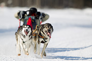 p-f.ch_120212_1303_9909_1D