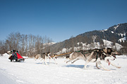 p-f.ch_120212_1304_0940_5D