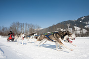 p-f.ch_120212_1305_0941_5D