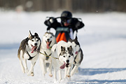 p-f.ch_120212_1305_9953_1D