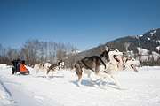 p-f.ch_120212_1306_0942_5D