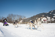 p-f.ch_120212_1307_0943_5D