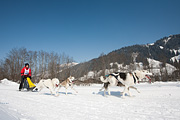 p-f.ch_120212_1310_0944_5D