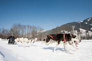 p-f.ch_120212_1311_0945_5D