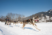 p-f.ch_120212_1312_0946_5D
