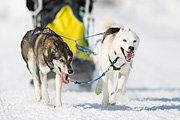 p-f.ch_120212_1315_0050_1D