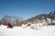p-f.ch_120212_1333_0959_5D