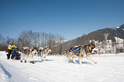 p-f.ch_120212_1339_0963_5D