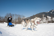 p-f.ch_120212_1345_0969_5D