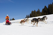 p-f.ch_120310_1219_4941_1D