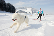 p-f.ch_120204_1152_4011_1D