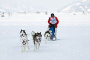 p-f.ch_120204_1207_4078_1D