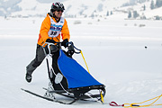 p-f.ch_120204_1219_4097_1D