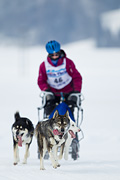 p-f.ch_120204_1238_4157_1D