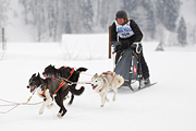 p-f.ch_120204_1439_4850_1D