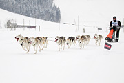 p-f.ch_120204_1447_4868_1D