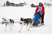 p-f.ch_120204_1448_4886_1D