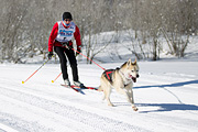 p-f.ch_120205_1122_4933_1D