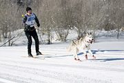 p-f.ch_120205_1125_4950_1D