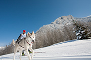 p-f.ch_120205_1148_0655_5D