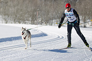 p-f.ch_120205_1148_5019_1D