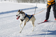 p-f.ch_120205_1148_5024_1D