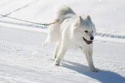 p-f.ch_120205_1155_5053_1D