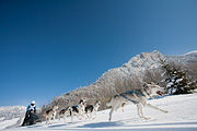 p-f.ch_120205_1156_0669_5D