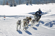 p-f.ch_120205_1156_5058_1D