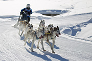 p-f.ch_120205_1156_5062_1D