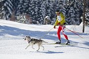 p-f.ch_120205_1156_5069_1D