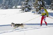p-f.ch_120205_1156_5075_1D